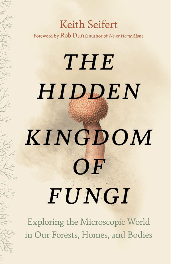Featured image for The Hidden Kingdom of Fungi